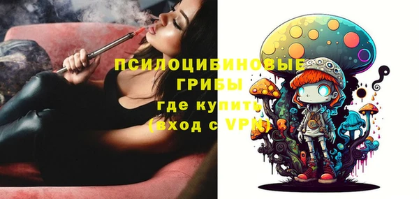 эйфоретик Алексин