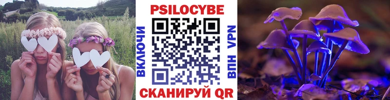 Псилоцибиновые грибы Cubensis  где продают наркотики  Пикалёво 